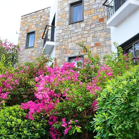Hotel Mira *