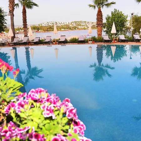 Mira Hotel *